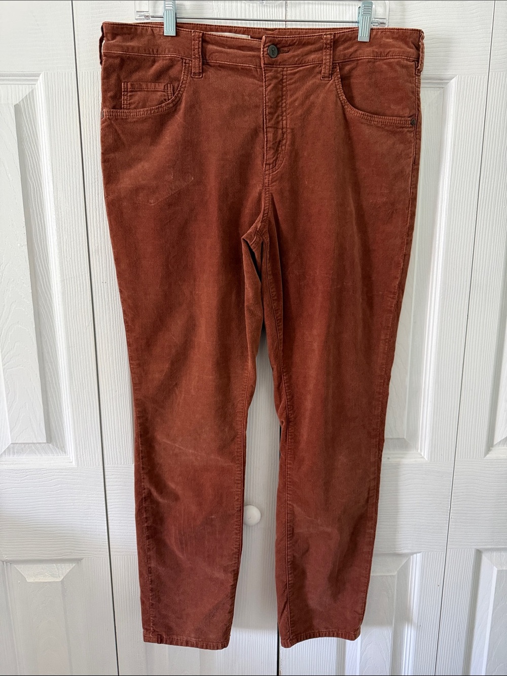 Pilcro from Anthropology Script Corduroy Pants Sz 32